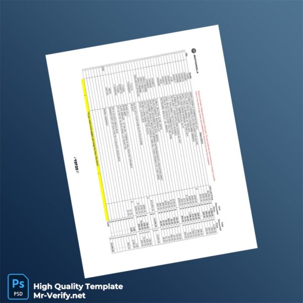 USA Invoice Template in Word and PDF formats 5 page