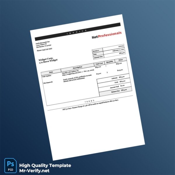 USA NetProfessionals Inc Invoice Template in Word and PDF formats USA NetProfessionals Inc Invoice Template in Word and PDF formats