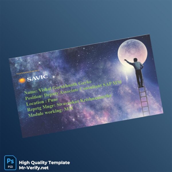 USA SAVIC Invoice Template in Word and PDF formats 7 page