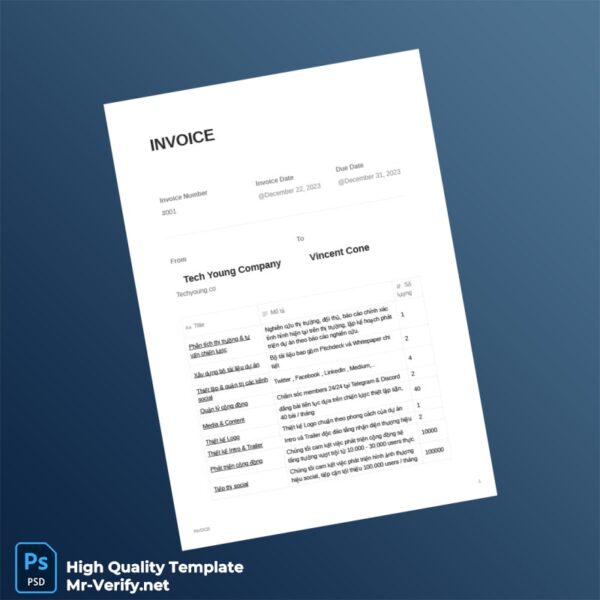 USA Tech Young Company Invoice Template in Word and PDF formats 3 page
