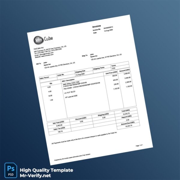USA XinCube Inc Invoice Template in Word and PDF formats