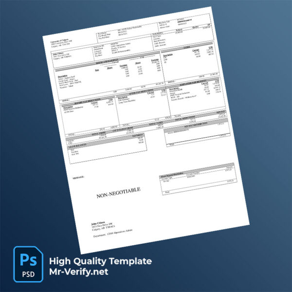 University of Calgary pay stub word and pdf template