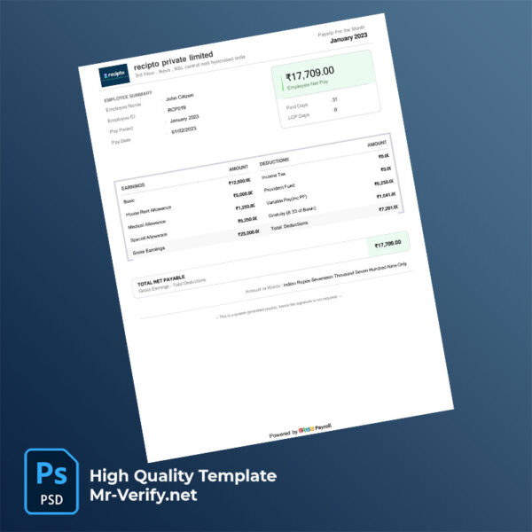 recipto private limited payslip word and pdf template recipto private limited payslip word and pdf template