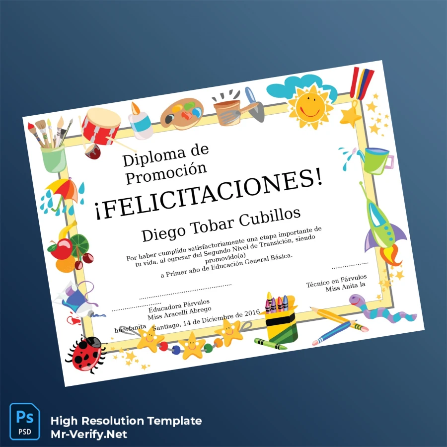 Chile Educational Institution Diploma Certificate – Fully Editable & High Resolution Chile Educational Institution Diploma Certificate – Fully Editable & High Resolution