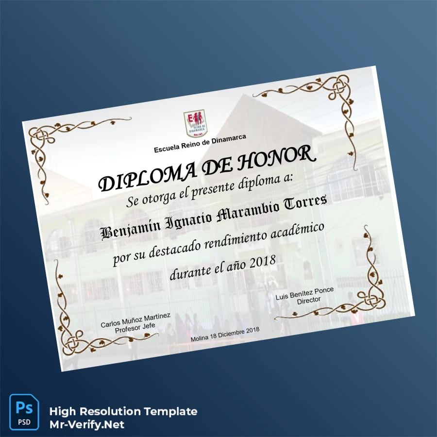 Chile Escuela Reino de Dinamarca Honor Diploma Template – Fully Editable & Print-Ready 2 Page Chile Escuela Reino de Dinamarca Honor Diploma Template – Fully Editable & Print-Ready 2 Page