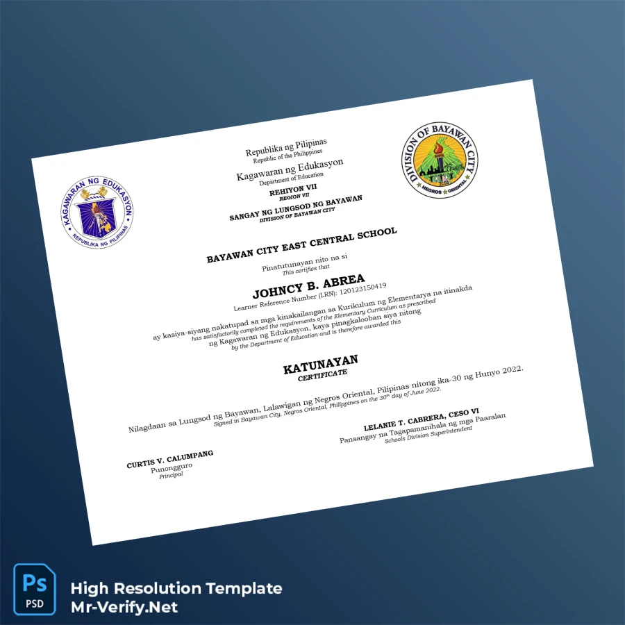 Philippines Bayawan City East Central School Elementary Curriculum Certificate – Fully Editable High Resolution Philippines Bayawan City East Central School Elementary Curriculum Certificate – Fully Editable High Resolution