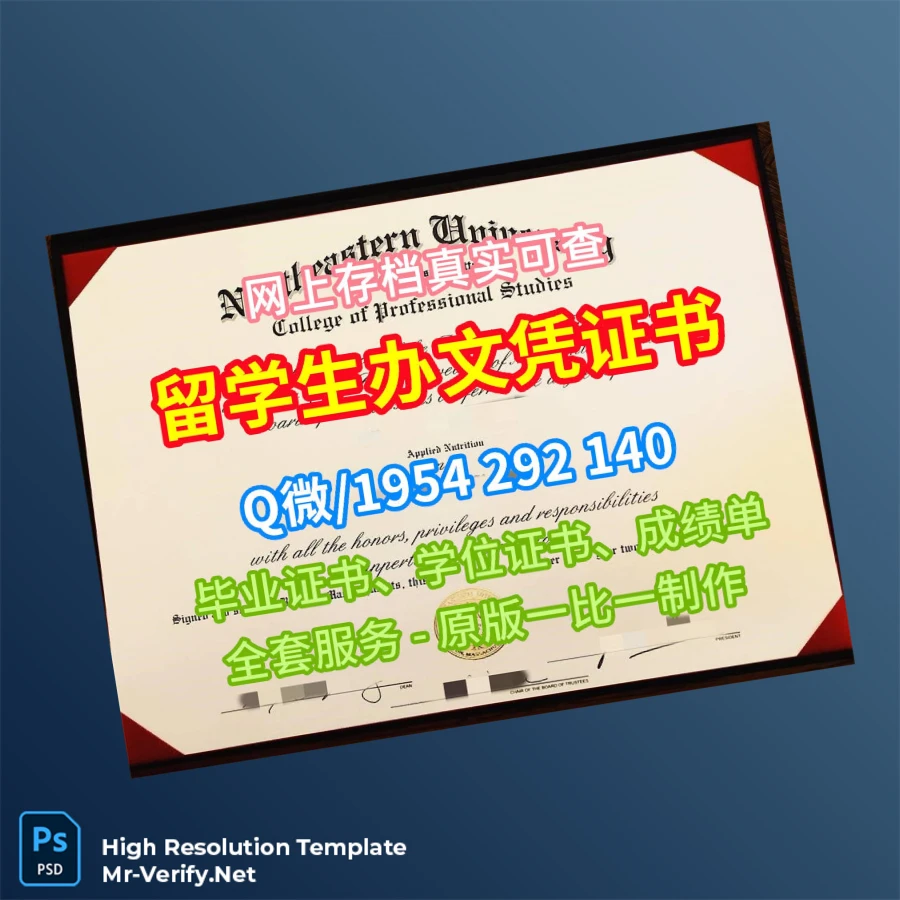 USA Northeastern University College of Professional Studies Diploma Template – Fully Editable High Resolution USA Northeastern University College of Professional Studies Diploma Template – Fully Editable High Resolution