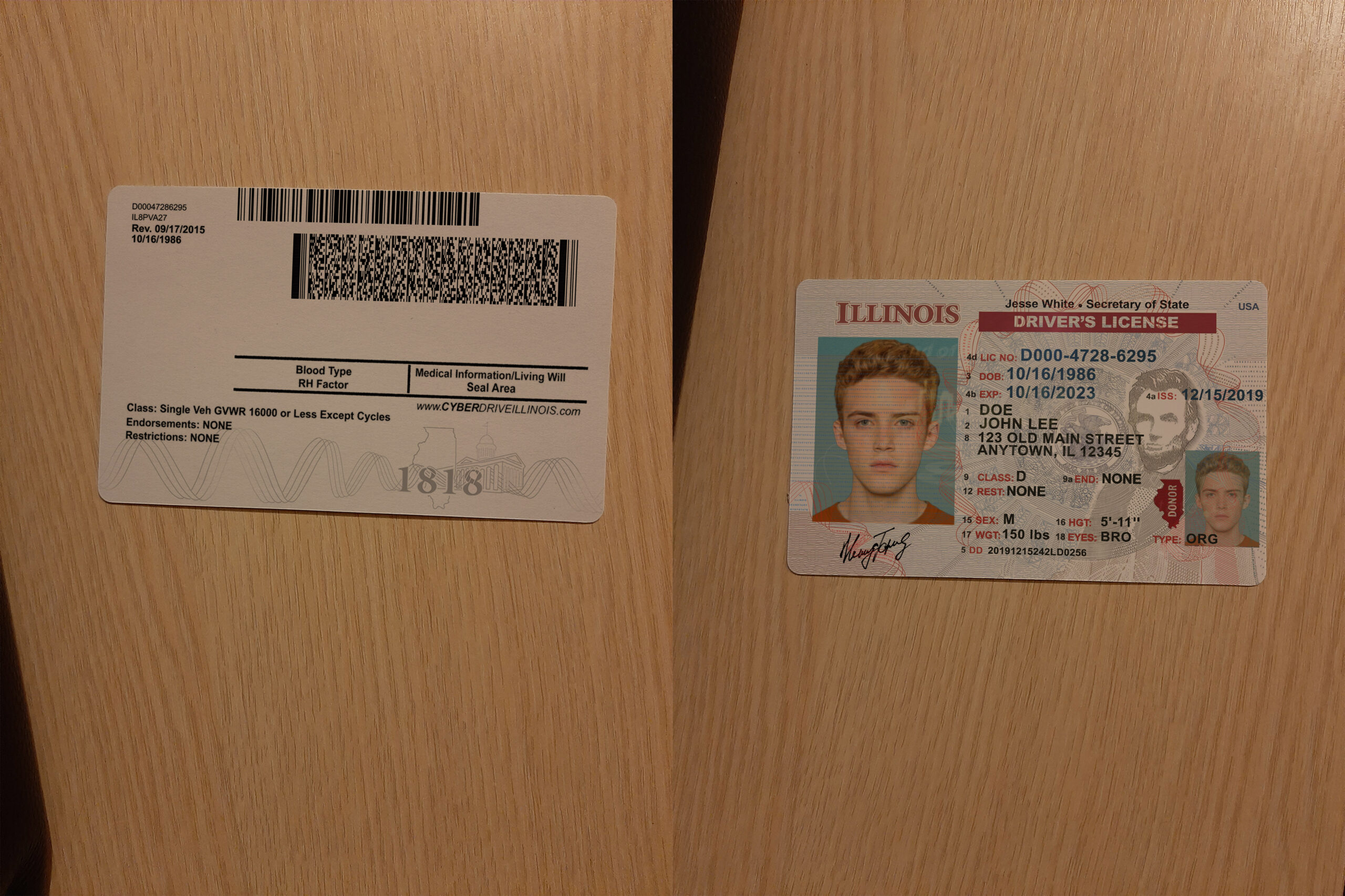 USA Illinois DL 1 scaled - USA Illinois DL