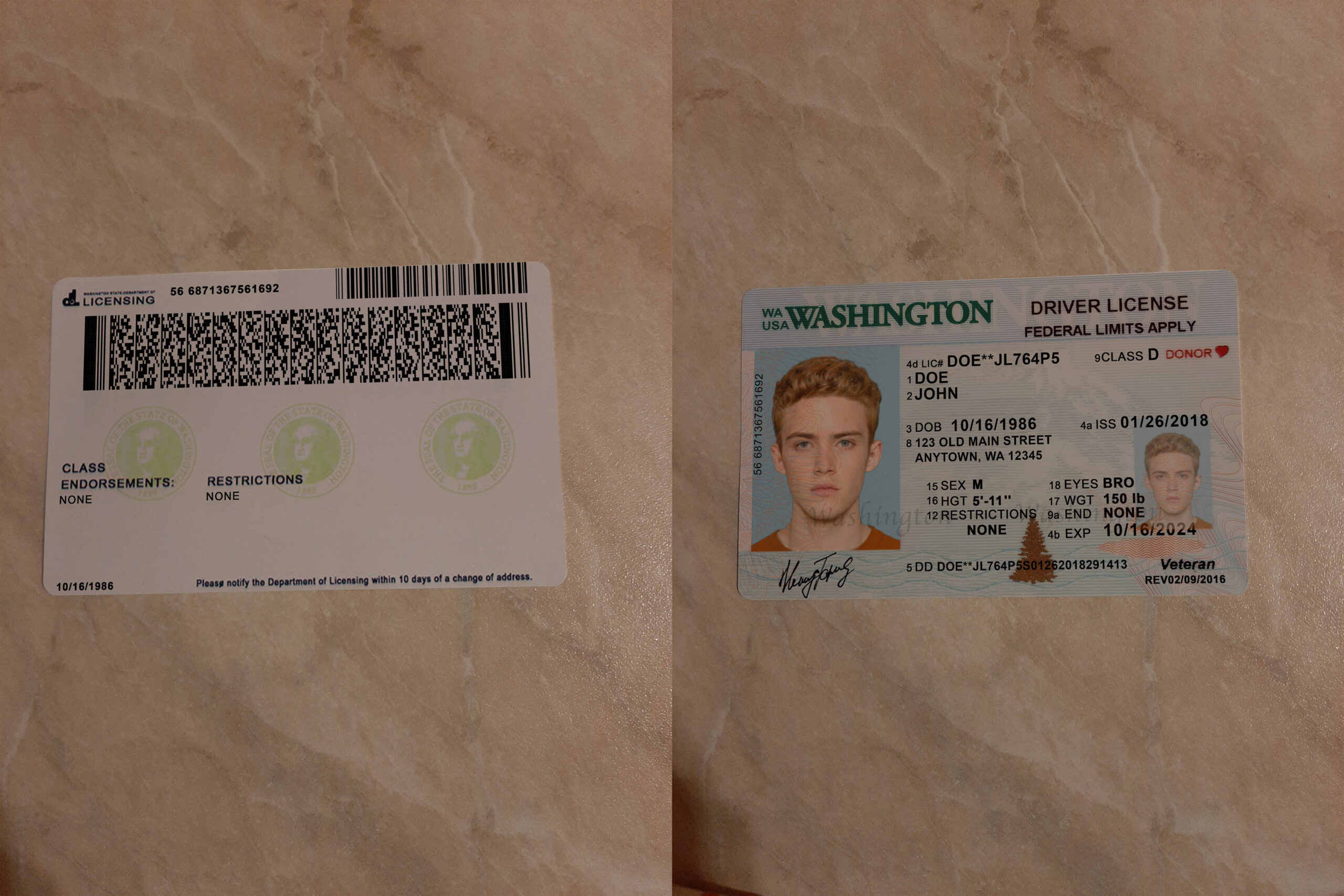 USA Washington DL scaled - USA Washington DL