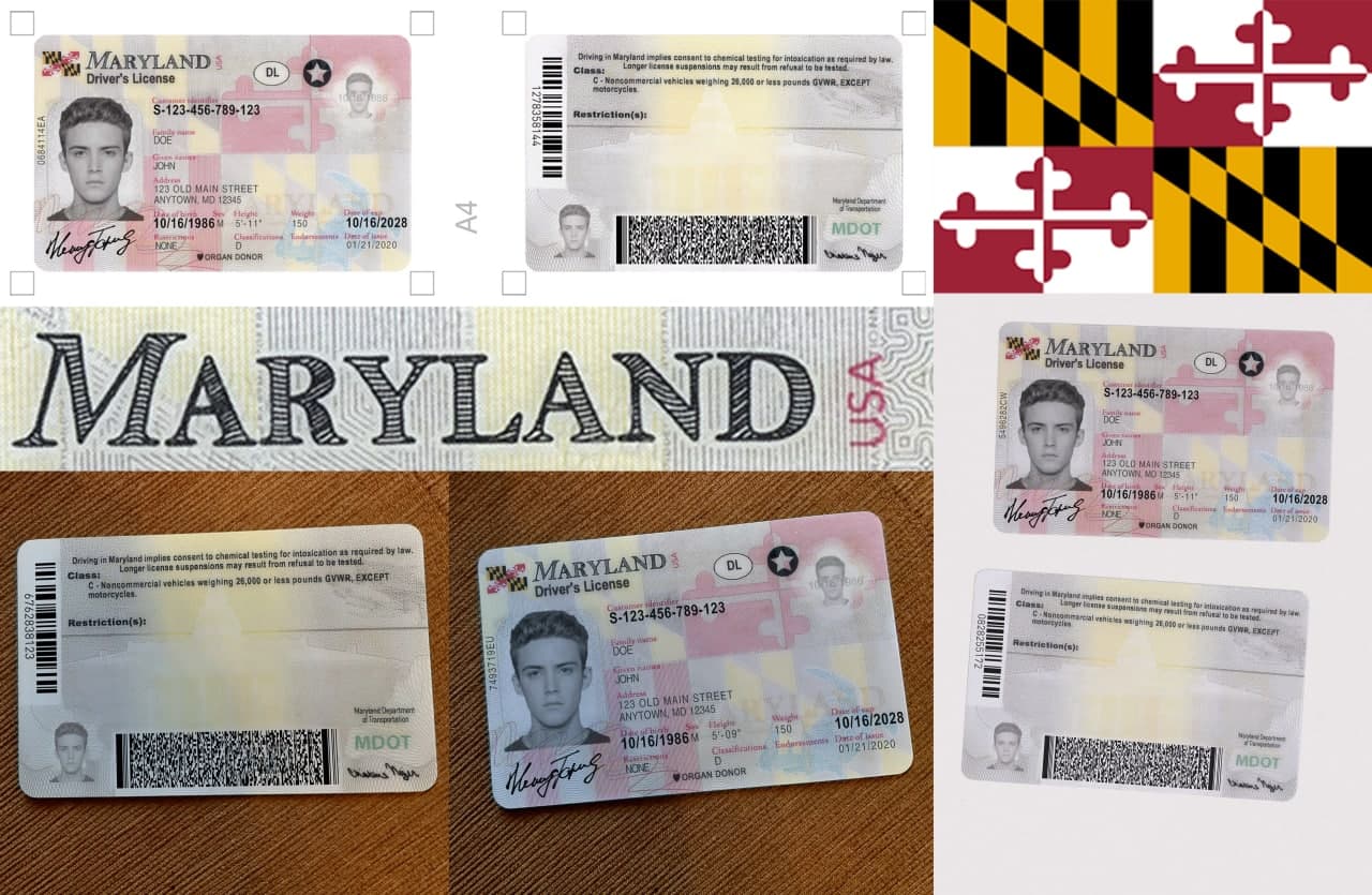 maryland dl preview - USA Maryland DL